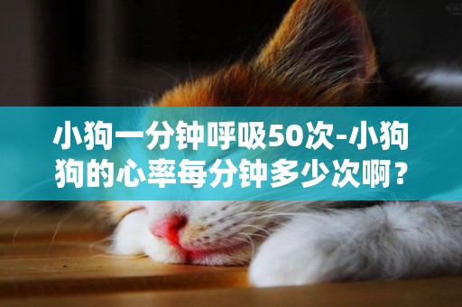 小狗一分鐘呼吸50次-小狗狗的心率每分鐘多少次啊？呼吸每分鐘多少次呢？