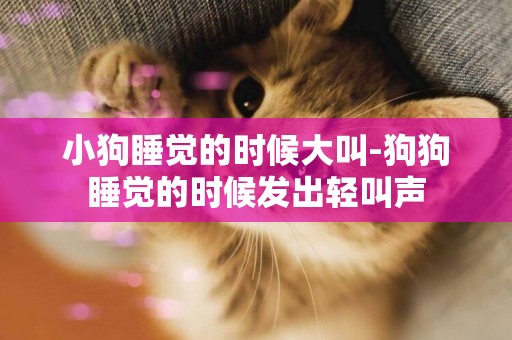 小狗睡覺的時候大叫-狗狗睡覺的時候發出輕叫聲