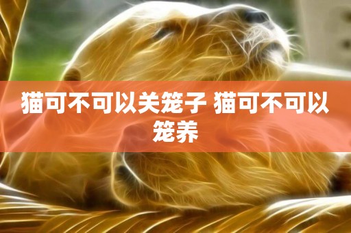 貓可不可以關籠子 貓可不可以籠養