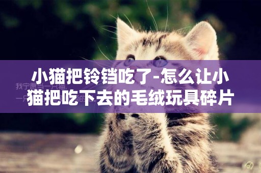 小貓把鈴鐺吃了-怎么讓小貓把吃下去的毛絨玩具碎片吐出來