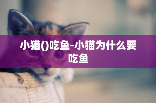 小貓()吃魚-小貓為什么要吃魚
