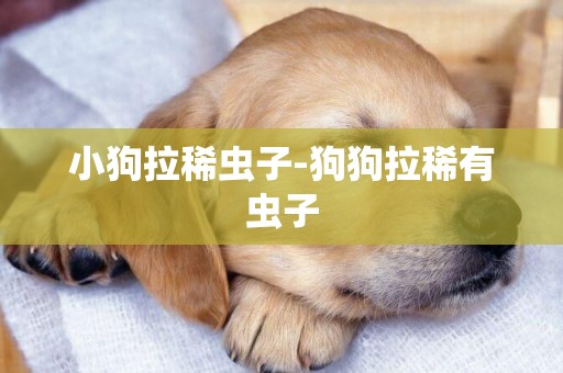 小狗拉稀蟲子-狗狗拉稀有蟲子