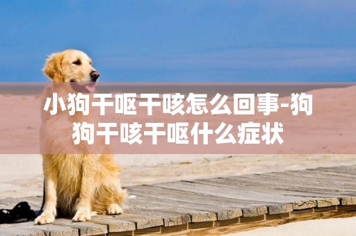 小狗干嘔干咳怎么回事-狗狗干咳干嘔什么癥狀