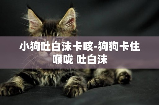 小狗吐白沫卡咳-狗狗卡住喉嚨 吐白沫