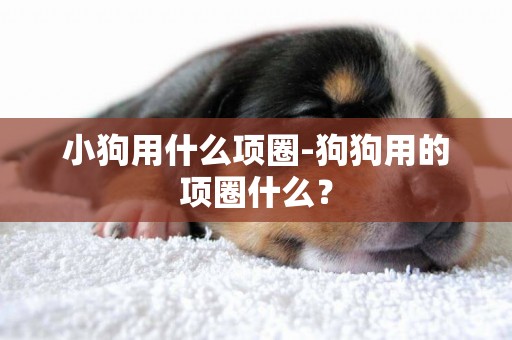 小狗用什么項圈-狗狗用的項圈什么？