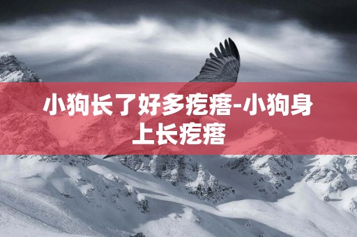 小狗長了好多疙瘩-小狗身上長疙瘩