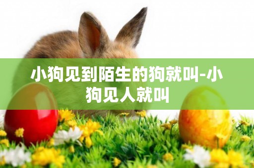 小狗見到陌生的狗就叫-小狗見人就叫
