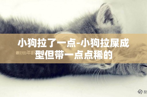 小狗拉了一點-小狗拉屎成型但帶一點點稀的
