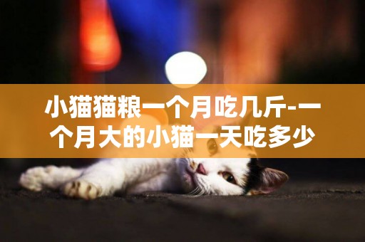 小貓貓糧一個月吃幾斤-一個月大的小貓一天吃多少