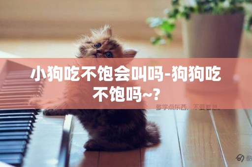 小狗吃不飽會叫嗎-狗狗吃不飽嗎~?