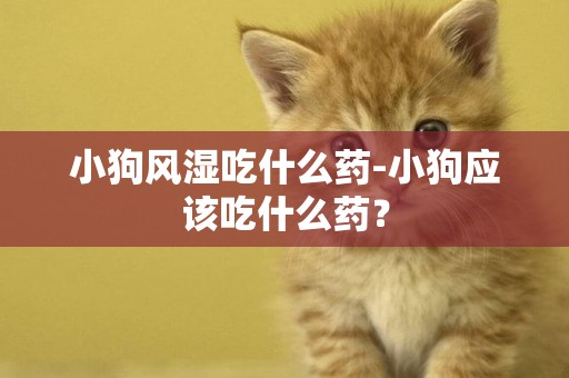 小狗風濕吃什么藥-小狗應該吃什么藥？