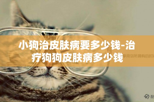 小狗治皮膚病要多少錢-治療狗狗皮膚病多少錢