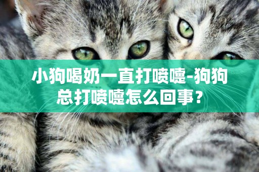 小狗喝奶一直打噴嚏-狗狗總打噴嚏怎么回事？