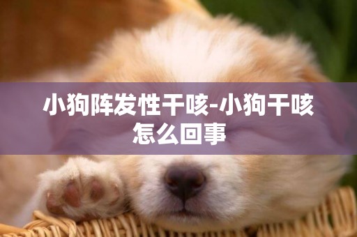 小狗陣發性干咳-小狗干咳怎么回事