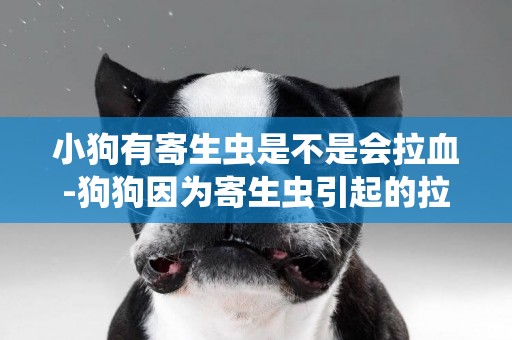 小狗有寄生蟲是不是會拉血-狗狗因為寄生蟲引起的拉稀一定會有血絲么
