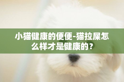 小貓健康的便便-貓拉屎怎么樣才是健康的？