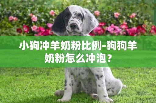 小狗沖羊奶粉比例-狗狗羊奶粉怎么沖泡？