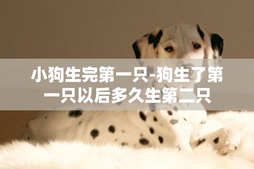 小狗生完第一只-狗生了第一只以后多久生第二只