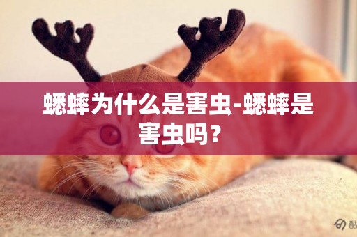 蟋蟀為什么是害蟲-蟋蟀是害蟲嗎？