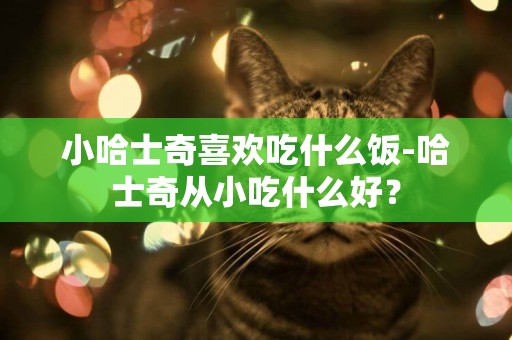 小哈士奇喜歡吃什么飯-哈士奇從小吃什么好？