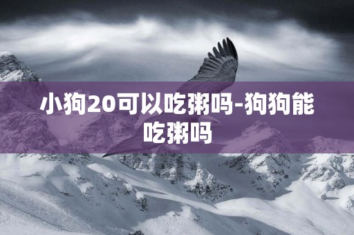 小狗20可以吃粥嗎-狗狗能吃粥嗎