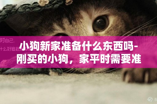 小狗新家準備什么東西嗎-剛買的小狗，家平時需要準備什么用品或者救急藥物嗎？