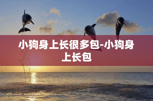 小狗身上長很多包-小狗身上長包