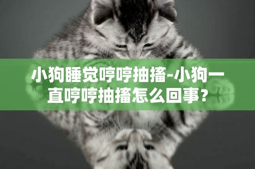 小狗睡覺哼哼抽搐-小狗一直哼哼抽搐怎么回事？