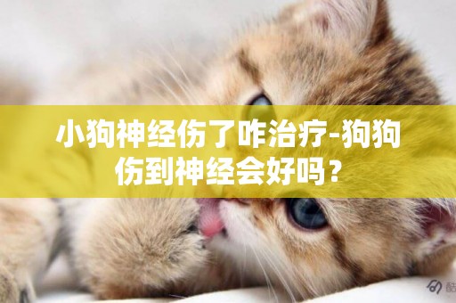 小狗神經傷了咋治療-狗狗傷到神經會好嗎？