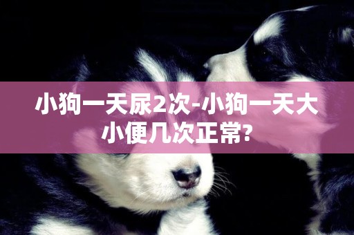 小狗一天尿2次-小狗一天大小便幾次正常?
