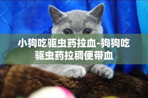 小狗吃驅蟲藥拉血-狗狗吃驅蟲藥拉稠便帶血