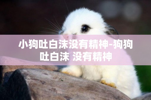 小狗吐白沫沒有精神-狗狗吐白沫 沒有精神