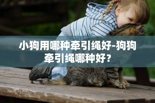 小狗用哪種牽引繩好-狗狗牽引繩哪種好？