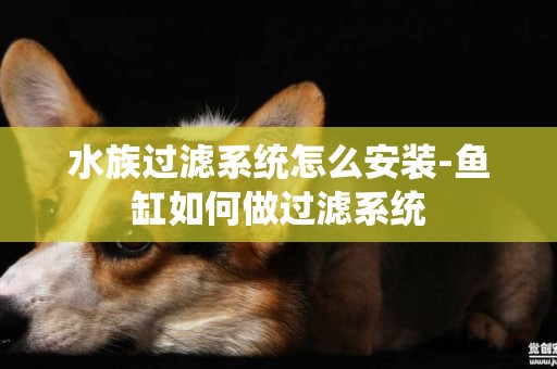 水族過濾系統怎么安裝-魚缸如何做過濾系統
