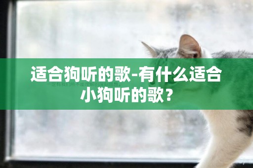 適合狗聽的歌-有什么適合小狗聽的歌？