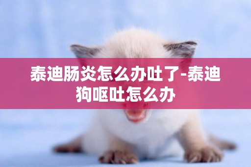 泰迪腸炎怎么辦吐了-泰迪狗嘔吐怎么辦