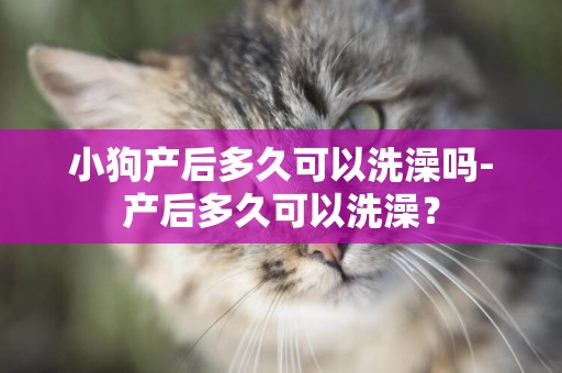 小狗產后多久可以洗澡嗎-產后多久可以洗澡？