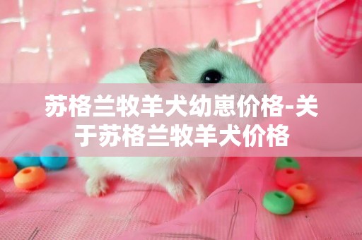 蘇格蘭牧羊犬幼崽價格-關于蘇格蘭牧羊犬價格