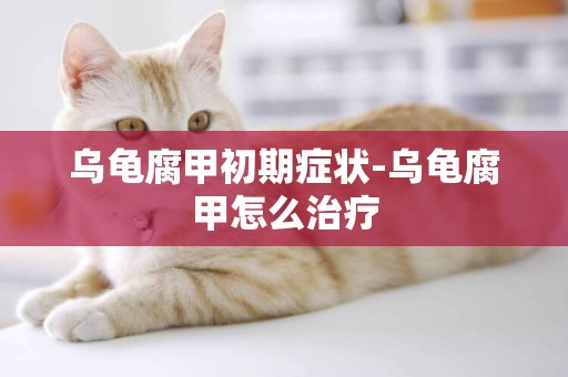 烏龜腐甲初期癥狀-烏龜腐甲怎么治療