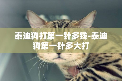 泰迪狗打第一針多錢-泰迪狗第一針多大打
