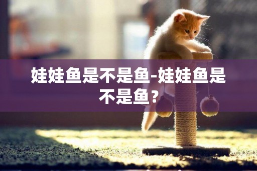 娃娃魚是不是魚-娃娃魚是不是魚？