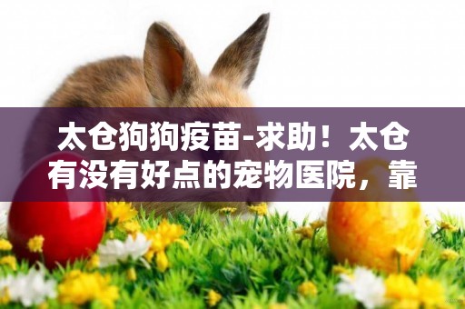 太倉狗狗疫苗-求助！太倉有沒有好點的寵物醫院，靠譜點的醫生
