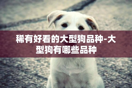 稀有好看的大型狗品種-大型狗有哪些品種