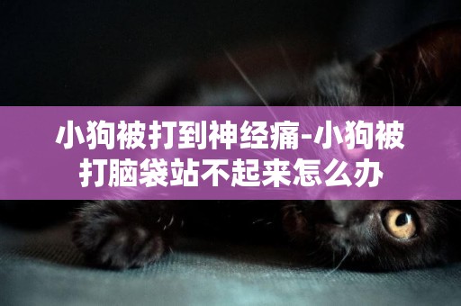 小狗被打到神經痛-小狗被打腦袋站不起來怎么辦