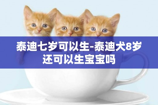 泰迪七歲可以生-泰迪犬8歲還可以生寶寶嗎