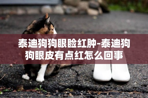 泰迪狗狗眼瞼紅腫-泰迪狗狗眼皮有點紅怎么回事