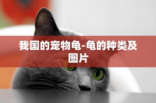 我國的寵物龜-龜的種類及圖片