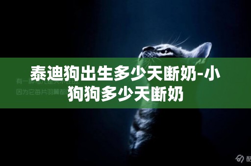 泰迪狗出生多少天斷奶-小狗狗多少天斷奶
