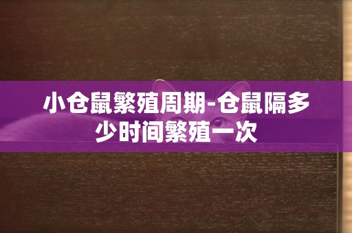 小倉鼠繁殖周期-倉鼠隔多少時間繁殖一次