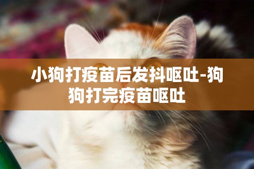 小狗打疫苗后發抖嘔吐-狗狗打完疫苗嘔吐